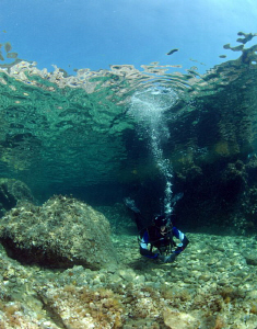 Diver at Zaglav, Island of Pasman by Andy Kutsch 
